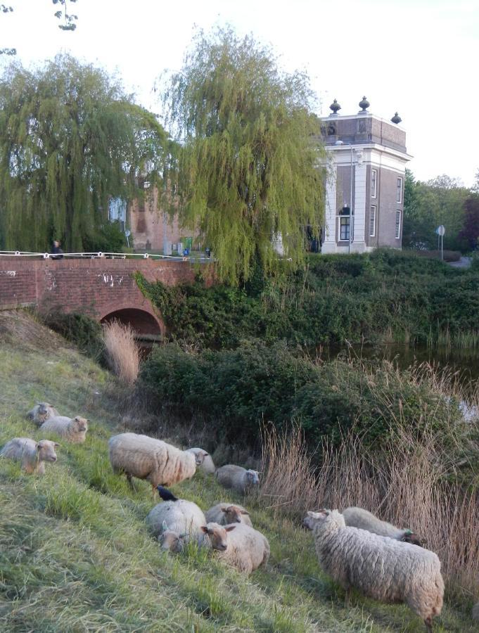 Logies De Zeeuwse Klei, Een Gezellig Jaren 30 Huis Villa Middelburg Exteriör bild